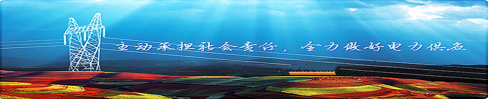 國(guó)企改革與視野